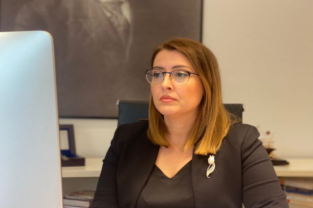 Minister of Health Manastirliu participates at a WHO forum in Geneva